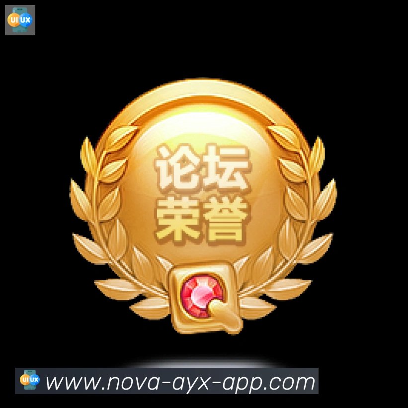 未来规划